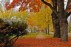 UsS-Minnesota-Street-Market4