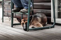 UsS-Minnesota-Street-Market7